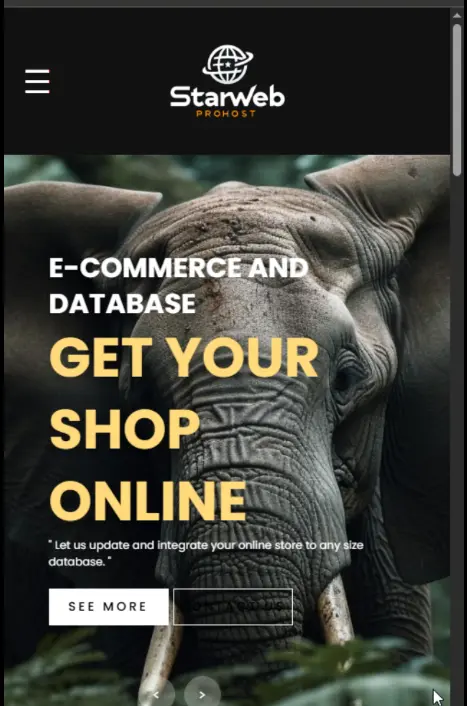 E-commerce Revamp