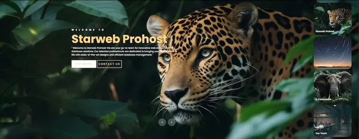 World-class builds without the bloat.